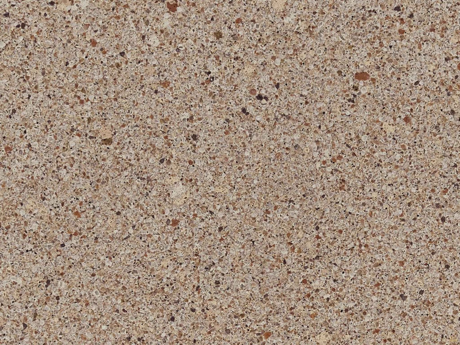 Sutton