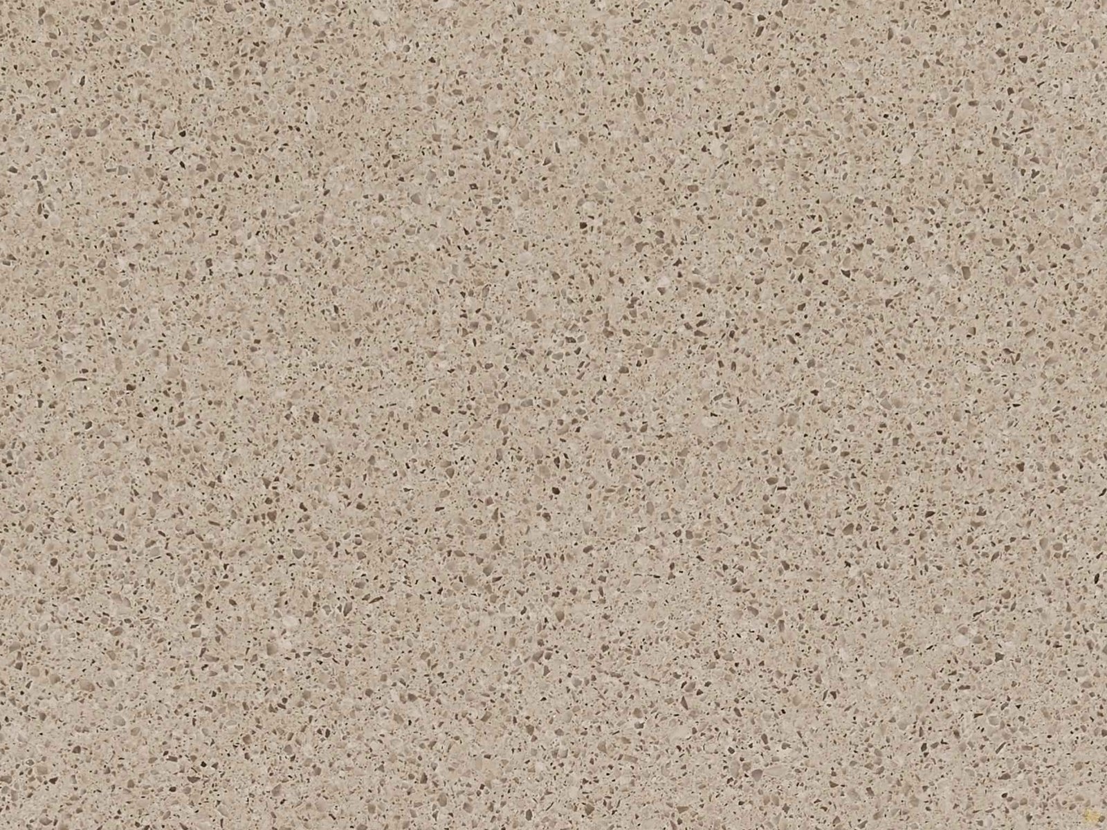 Tenby Cream