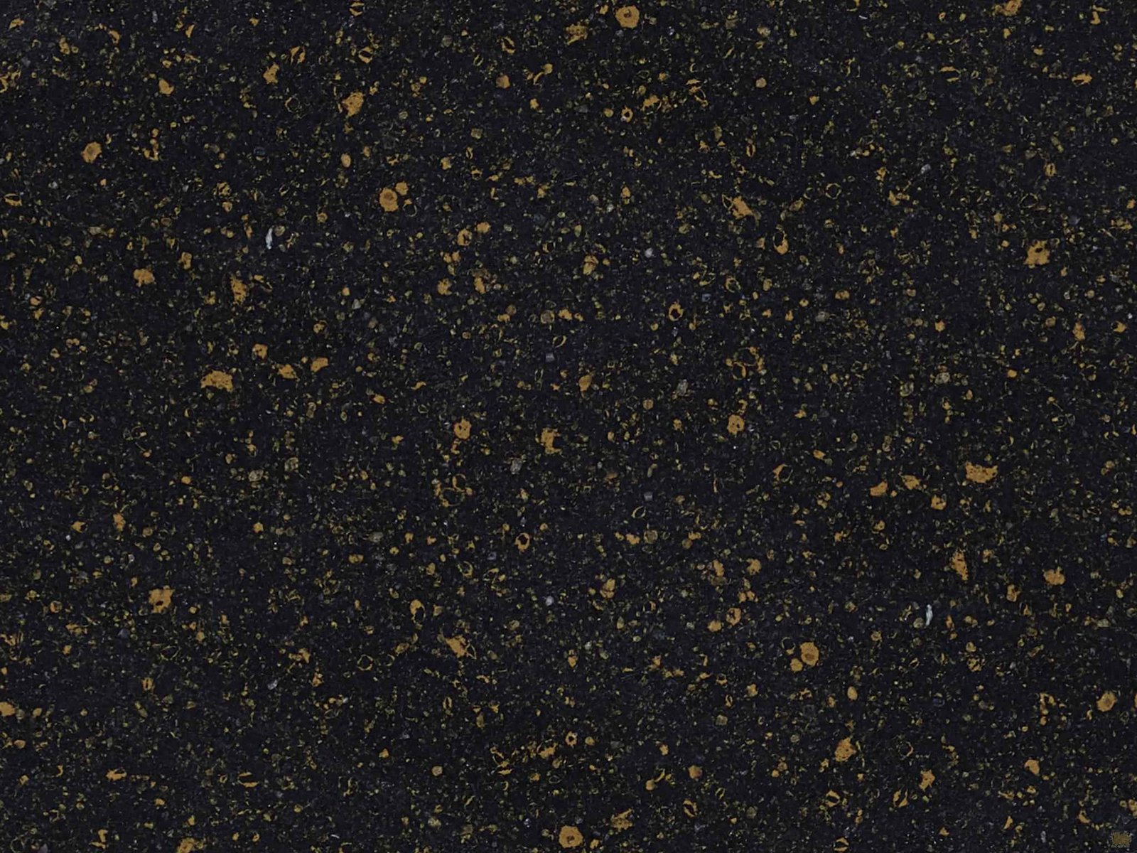 Welshpool Black
