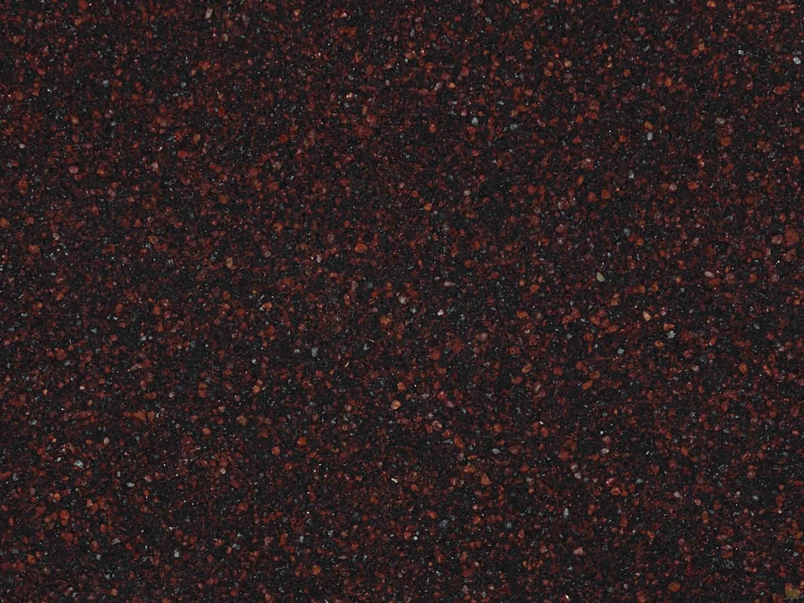 Willshire Red